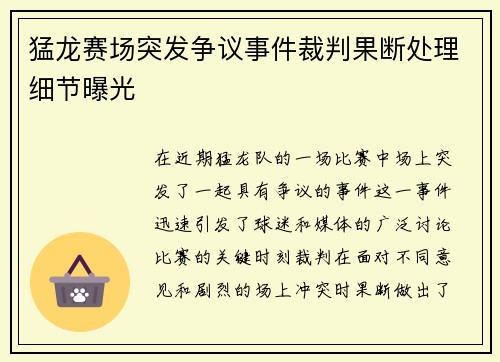 猛龙赛场突发争议事件裁判果断处理细节曝光